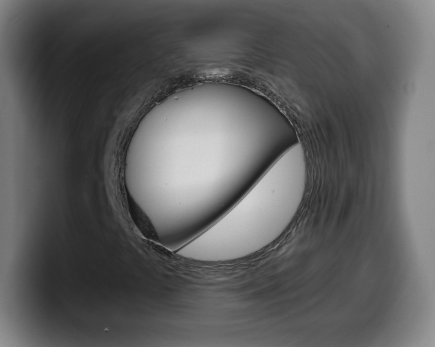 X0000099521441200805151022