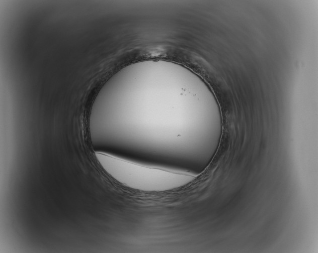 X0000099521442200805151022