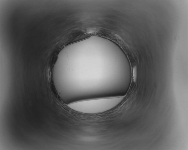 X0000099521443200805151022