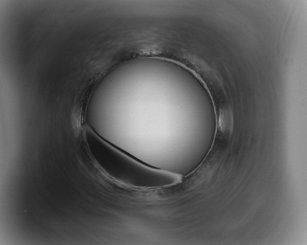 X0000099521444200805151022