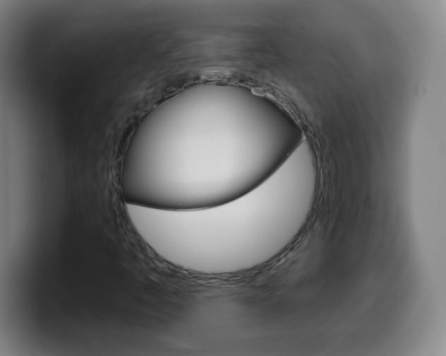 X0000099521445200805151022
