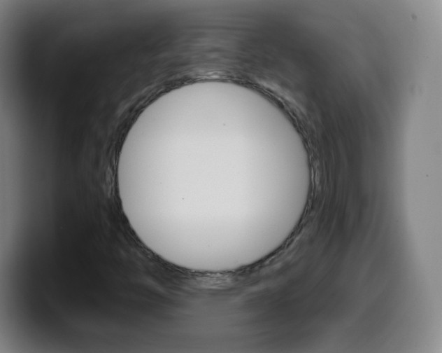 X0000099521446200805151022