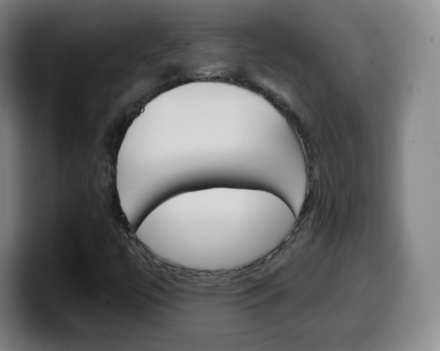 X0000099521447200805151022