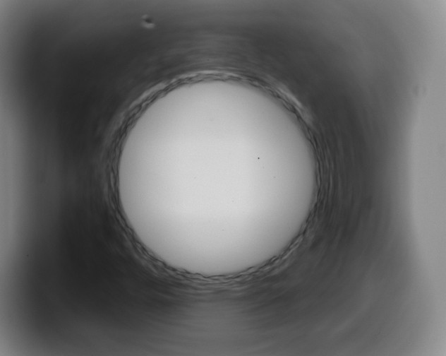 X0000099521448200805151022