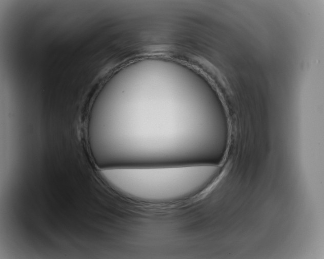 X0000099521449200805151022