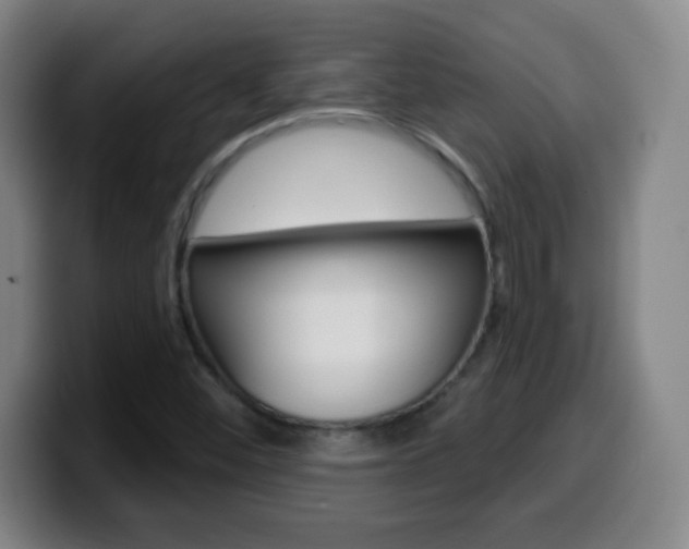 X0000099521452200805151022