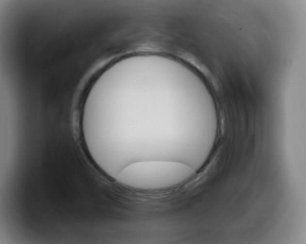 X0000099521454200805151022