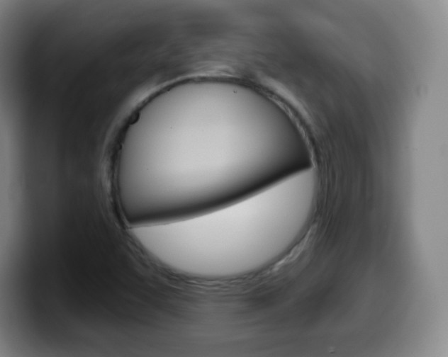 X0000099521455200805151022