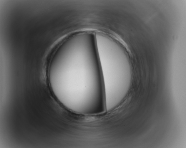X0000099521456200805151022