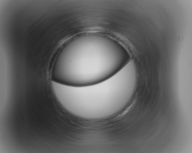 X0000099521457200805151022