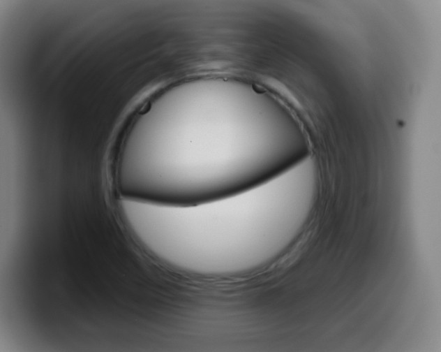 X0000099521458200805151022