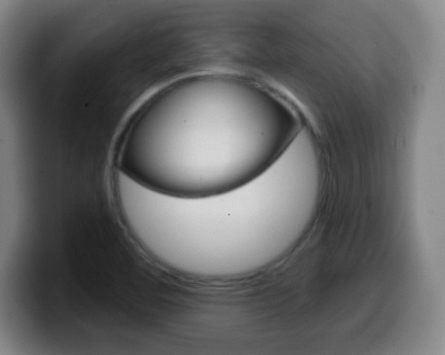 X0000099521460200805151022