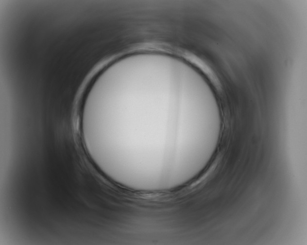 X0000099521462200805151022