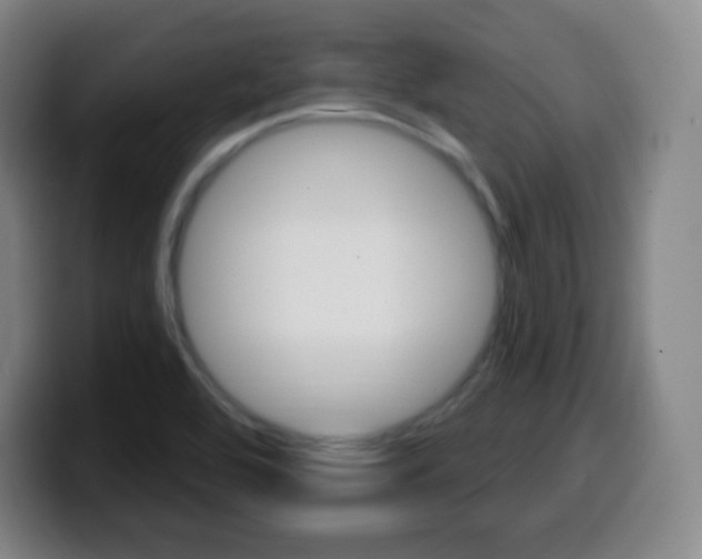 X0000099521464200805151022