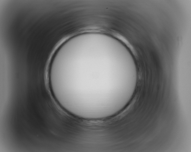 X0000099521466200805151022