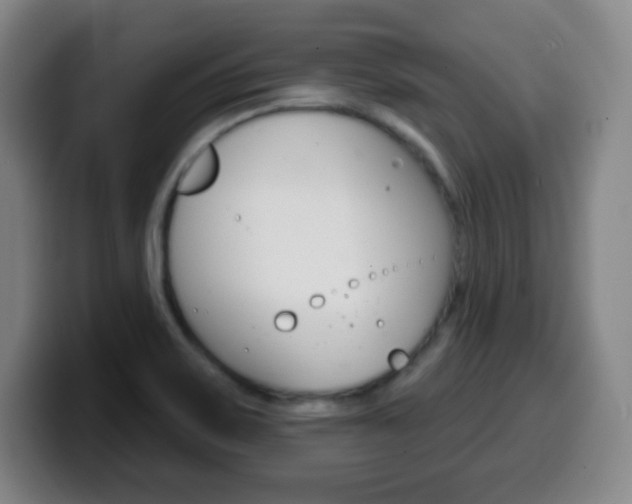 X0000099521467200805151022