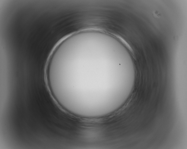 X0000099521468200805151022