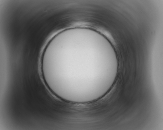 X0000099521470200805151022