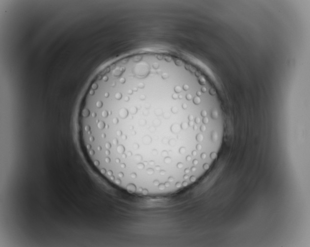 X0000099521471200805151022