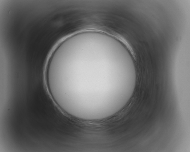 X0000099521472200805151022
