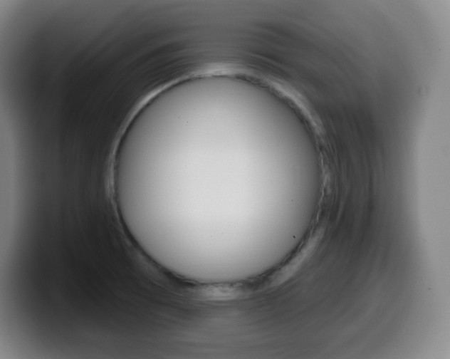 X0000099521473200805151022
