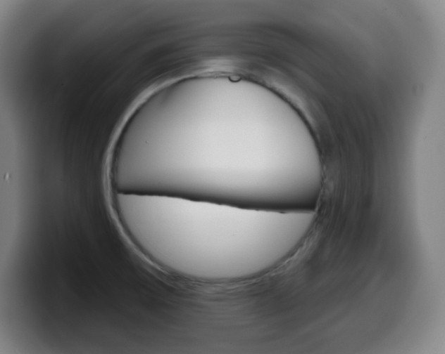 X0000099521475200805151022