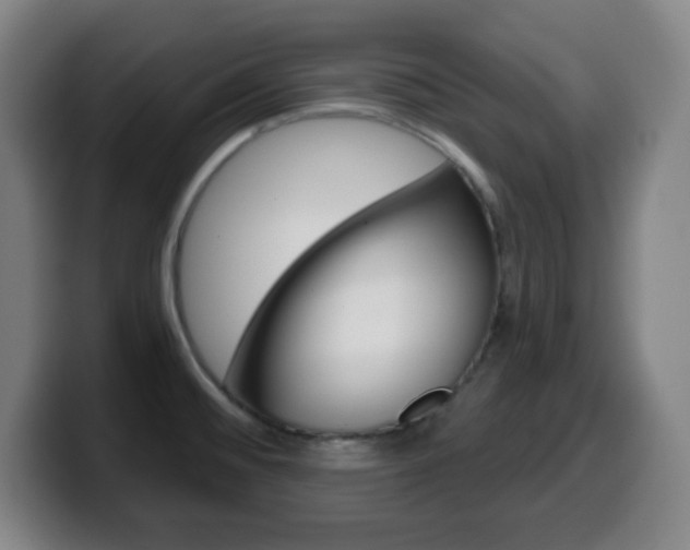 X0000099521476200805151022