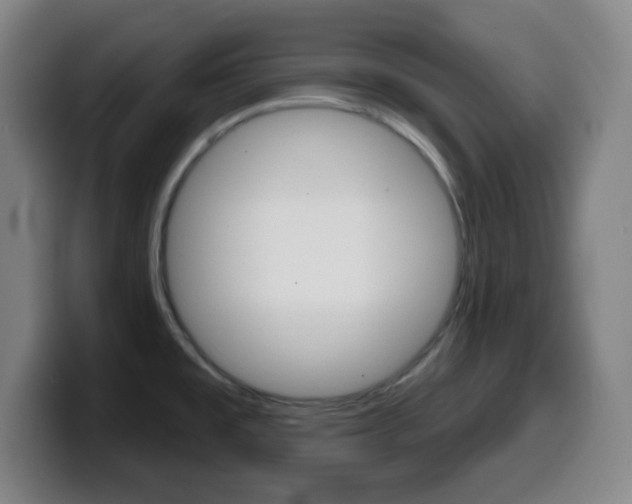 X0000099521477200805151022