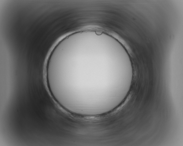 X0000099521478200805151022