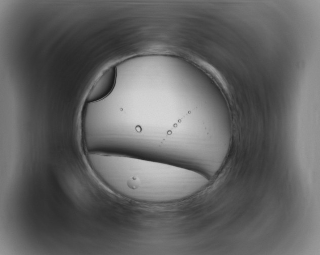 X0000099521479200805151022