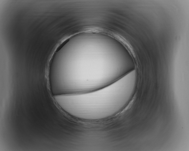 X0000099521481200805151022