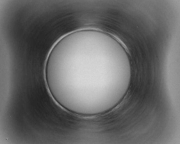 X0000099521484200805151022
