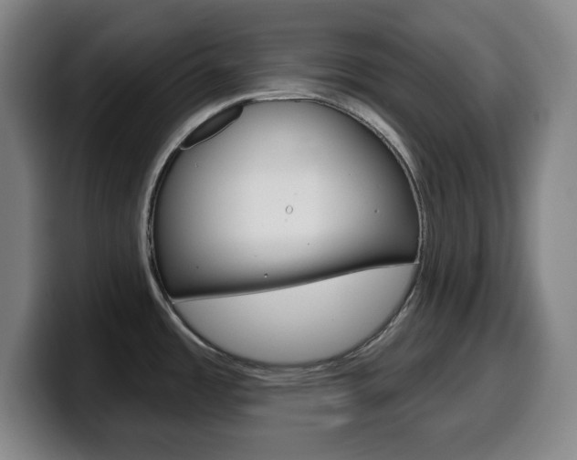 X0000099521485200805151022