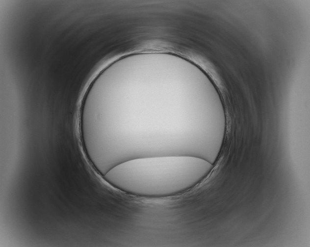 X0000099521486200805151022