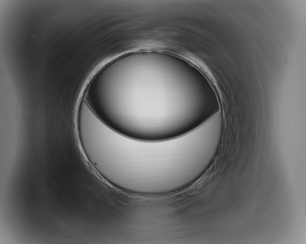 X0000099521488200805151022