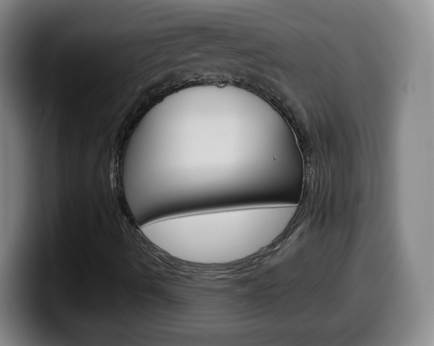 X0000099521490200805151021