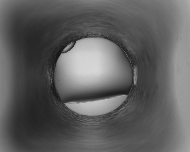 X0000099521491200805151021