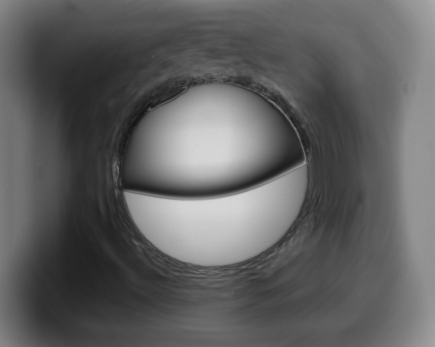 X0000099521492200805151021