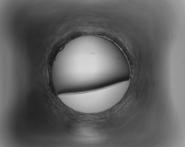 X0000099521493200805151021