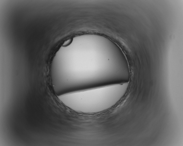 X0000099521494200805151021