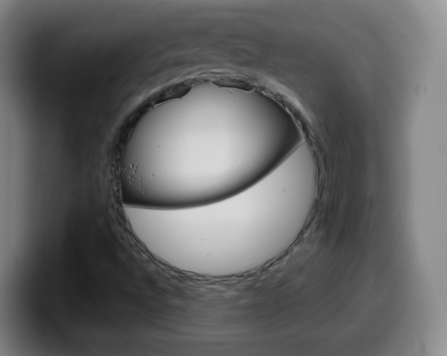 X0000099521496200805151021