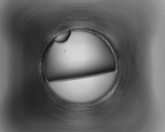 X0000099521497200805151021