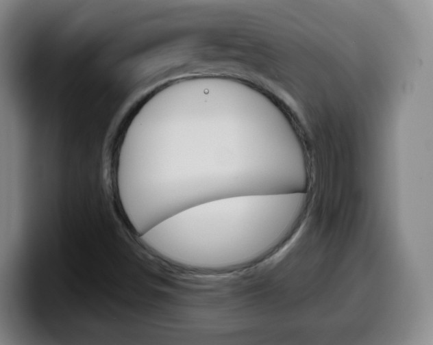 X0000099521498200805151021