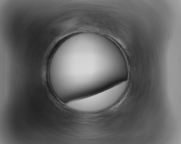 X0000099521499200805151021