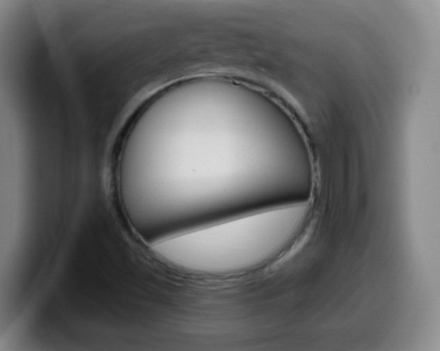 X0000099521501200805151021