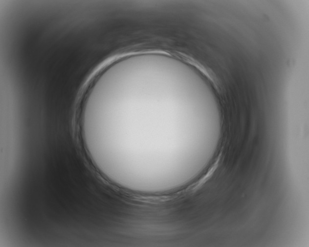 X0000099521502200805151021