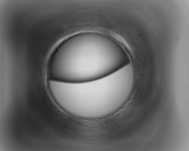 X0000099521504200805151021