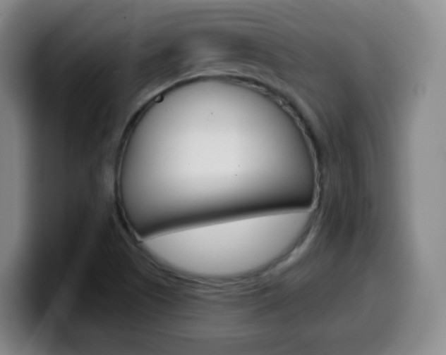 X0000099521505200805151021