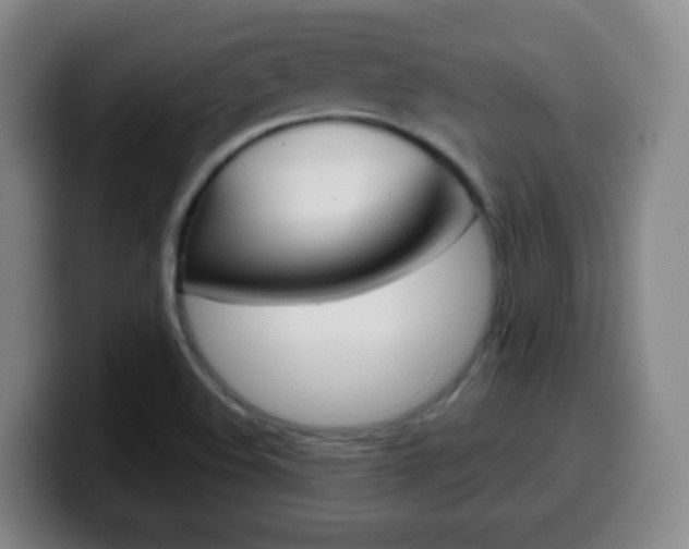 X0000099521508200805151021