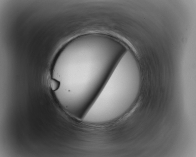 X0000099521509200805151021